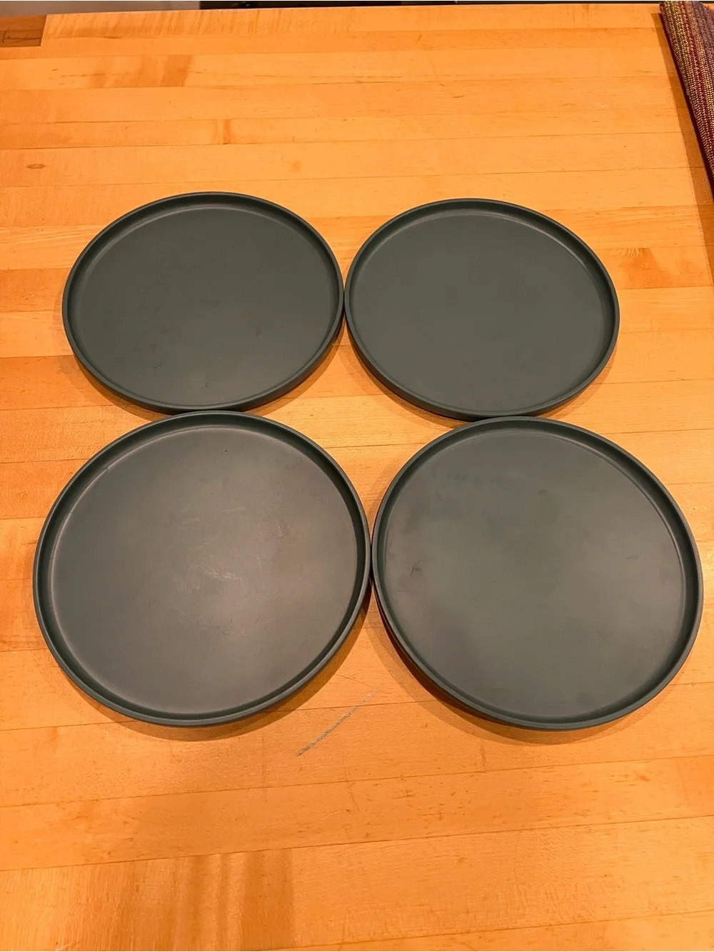 Set of 4 West Elm Aaron Probyn 7” Outdoor Salad Plates Teal